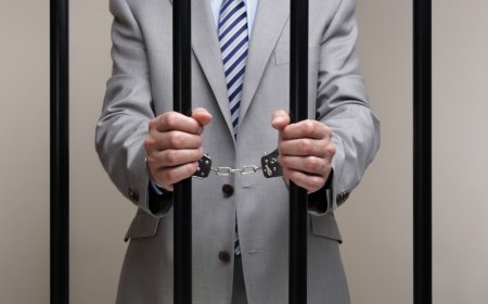 Responsabilidad Penal del Patrón en México