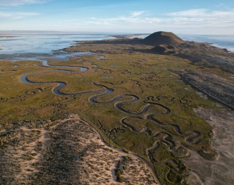 Vista aérea de un humedal con pastizales atravesado por un río