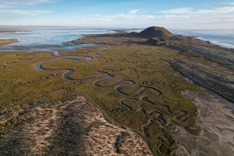 Vista aérea de un humedal con pastizales atravesado por un río